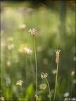 Effets Spéciaux et HDR - Expérimentations