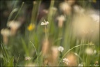 Effets Spéciaux et HDR - Expérimentations