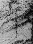 Effets Spéciaux et HDR - Expérimentations