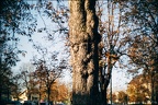 Automne Tarbais