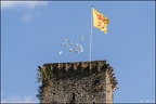 Une sortie au Donjon des Aigles de Beaucens