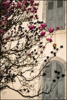 A la veille du Printemps
