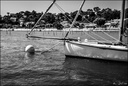 Bassin d'Arcachon - 31.08 - 07.09.2013-1247-800-2.jpg