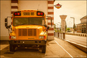 School Bus - 09.06.2014-1-800.jpg