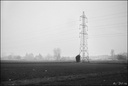 Sortir du brouillard - 20.03.2015-210-800-2.jpg